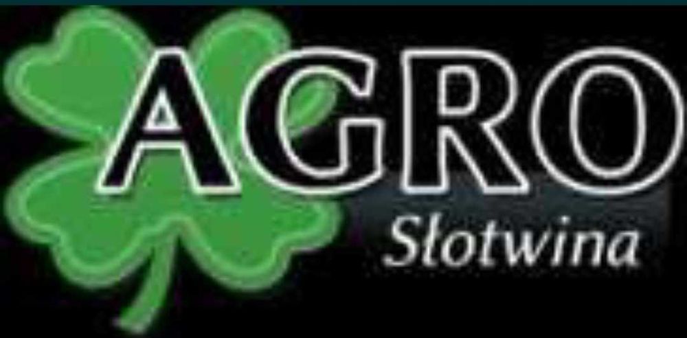 Pszenica ozima Elektra C1 kwalifikowany materiał siewny 2025