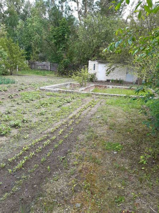 Ділянка 9 соток у садовому товаристві "Якір", приватизована RD