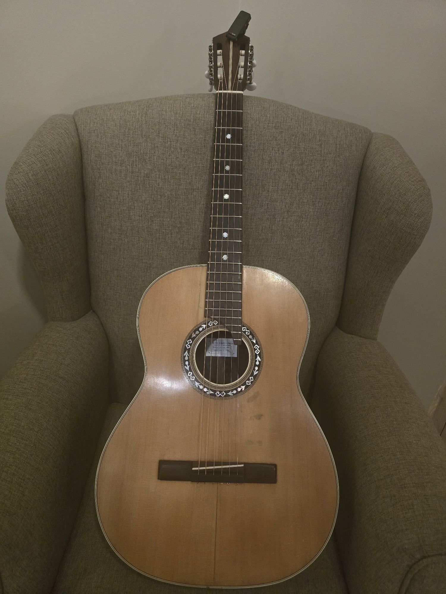 Viola de Fado João Pedro Gracio Junior