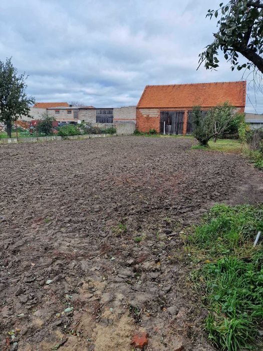 Wynajme dzialke 10 arów wraz ze stodołą w  miejscowosci Bodzewo.