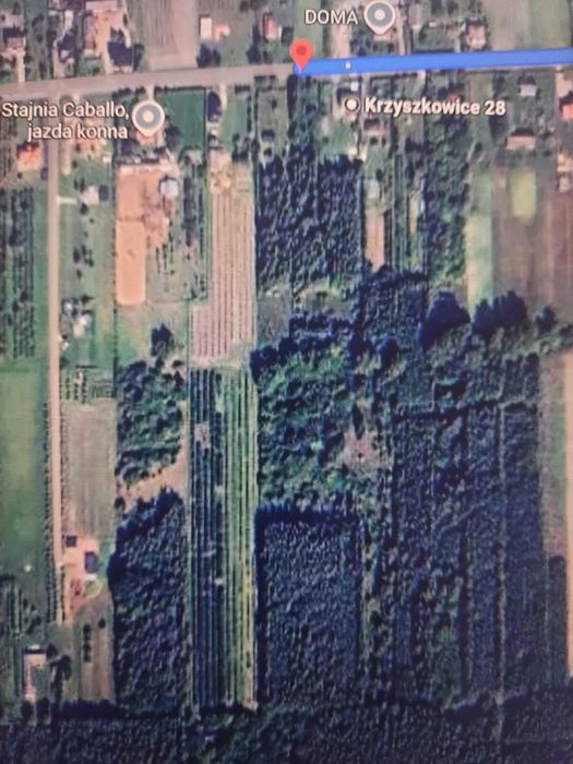 Sprzedam ziemię działki - warunki zabudowy - 2,59 ha z lasem