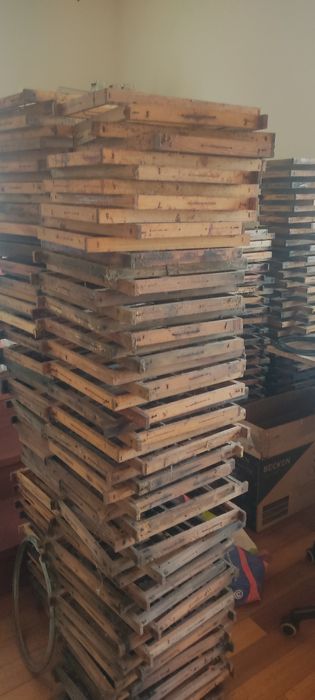 Quadros para cera de abelha, 1/2 Alça, Lusitânia e Reversível