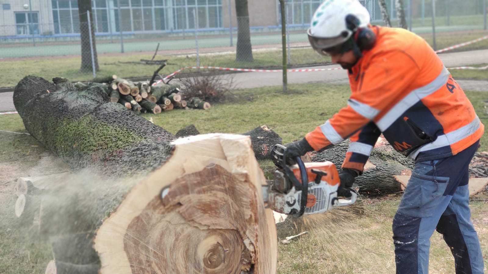 Wycinka drzew z podnośnika /metoda alpinistyczna/rębak/frezowanie pni