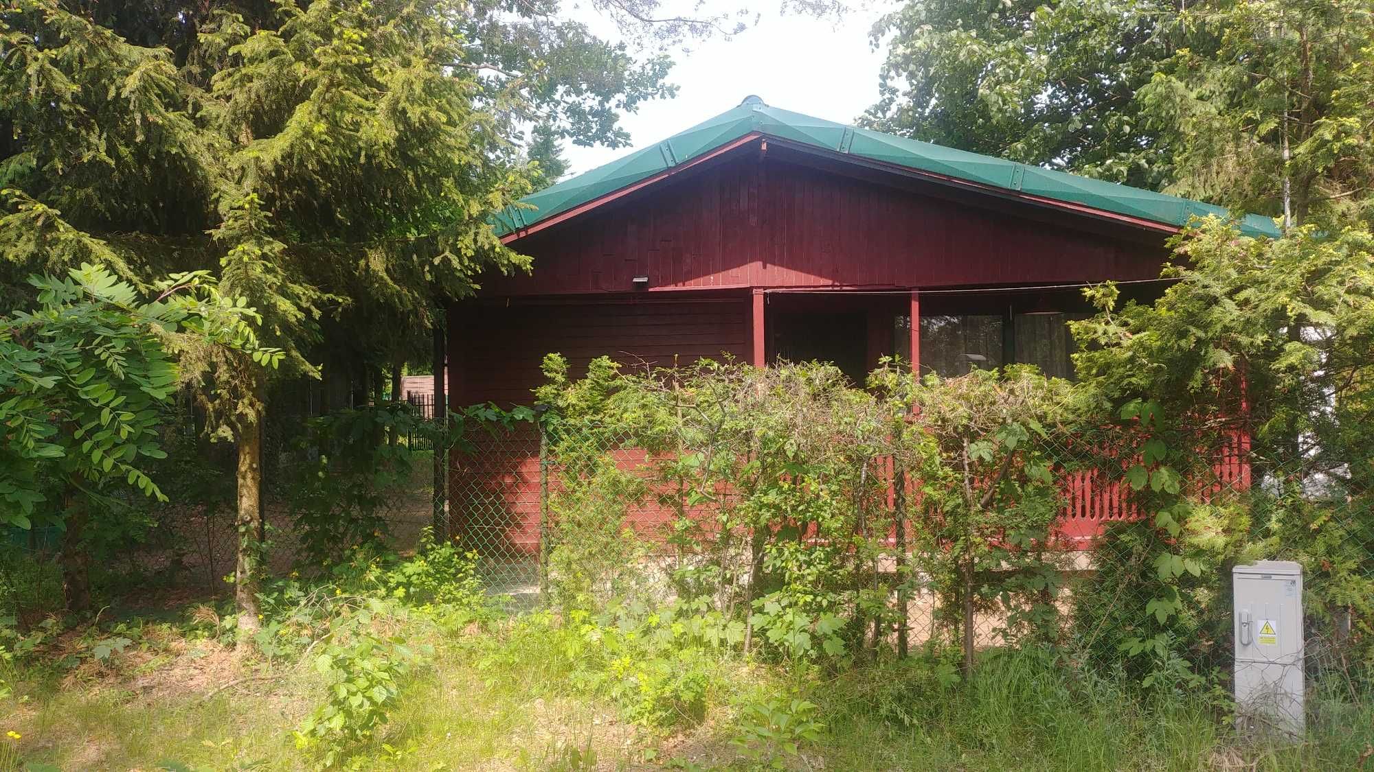 Domek nad J.Białym 20 m od jeziora. Okuninka.