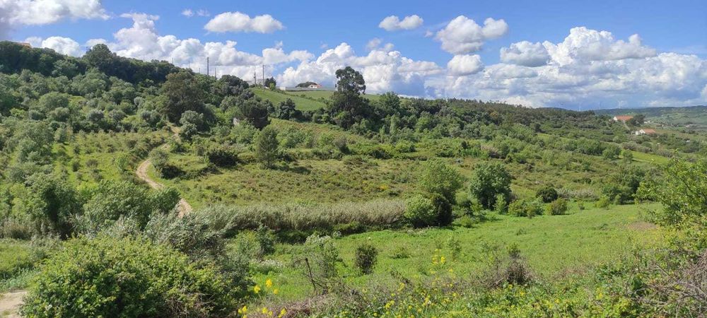 Terreno rústico em Cardosas - Arruda dos Vinhos