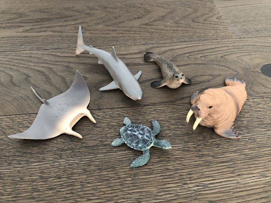 Морські тварини / скат / акула / черепаха / морж / морський котик