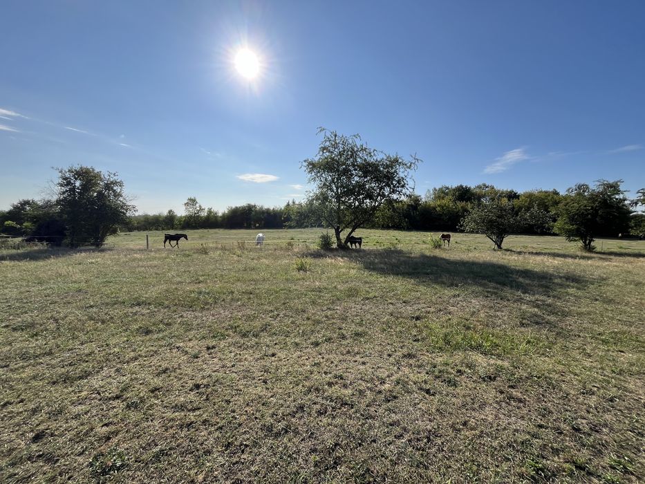 Działka budowlana 1000m 37x27 okolice Strykowska-Opolska