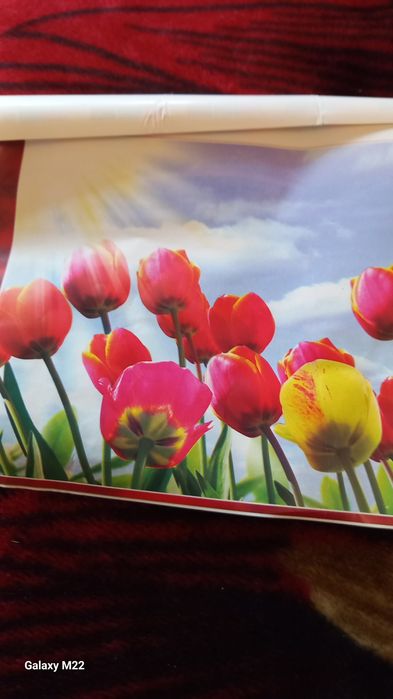 Фотообои, фотошпалери 140х145