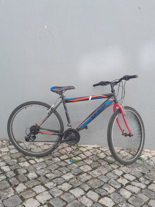 Bicicleta para adulto