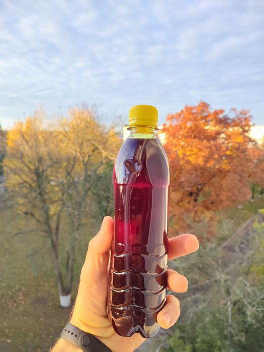 Олія гарбузова сиродавлена