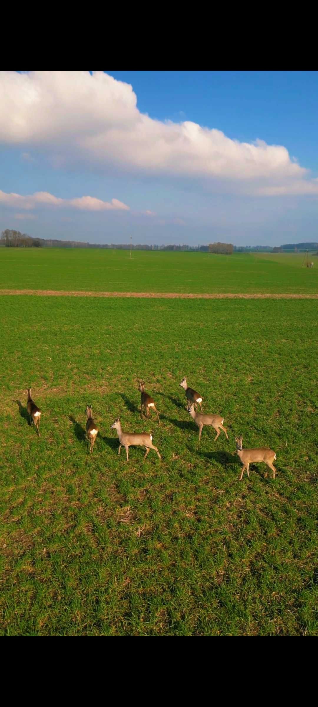 Usługi dronem- wideo filmowanie 4k