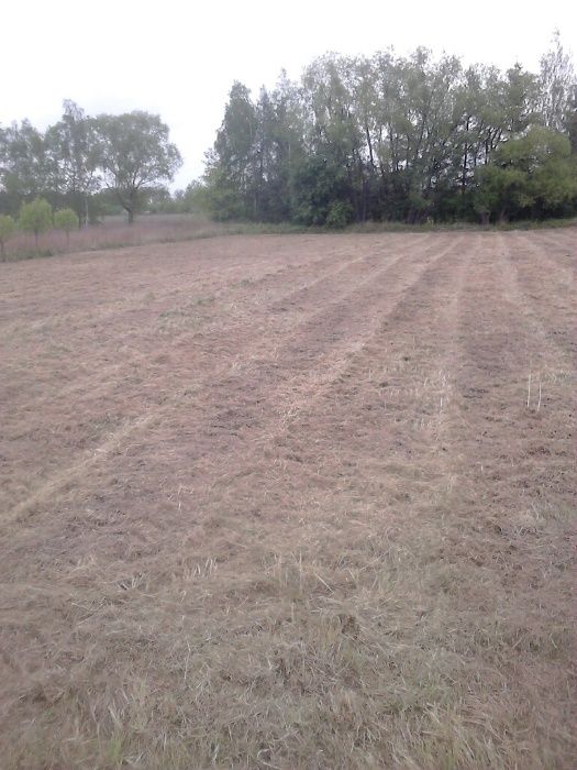 Koszenie trawy kosiarką bijakową