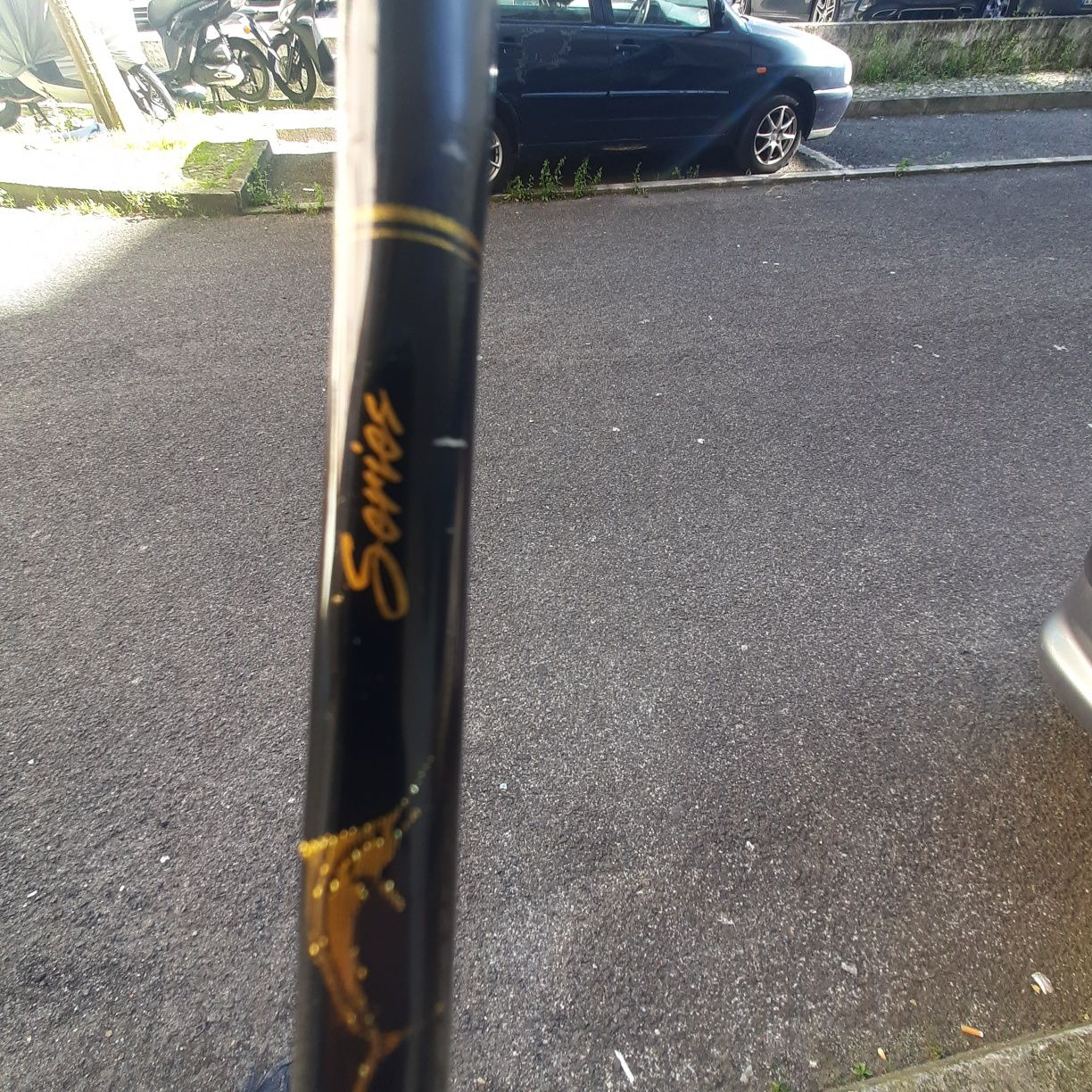 Vendo cana Big Game Ian Miller Shortstroke Tornament Series 30 Lbs