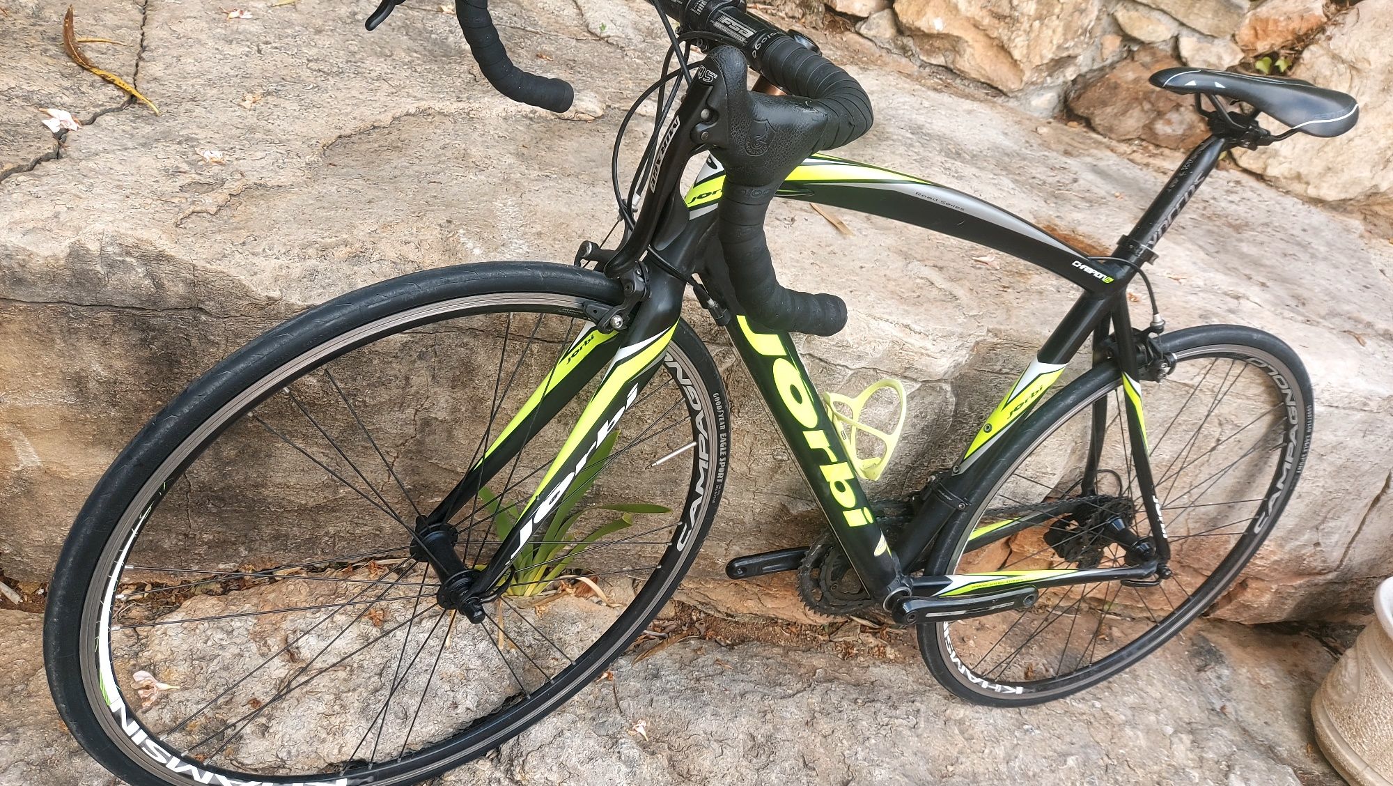 Jorbi Champion 5   T54