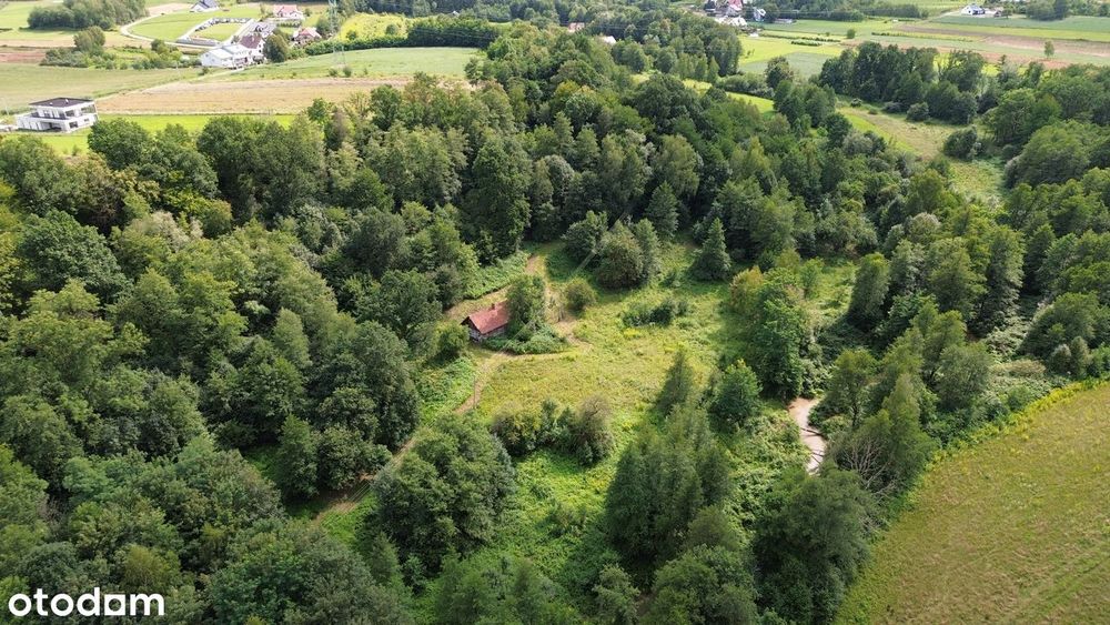 1 ha natury i ciszy – działka z domem do remontu w Więckowicach