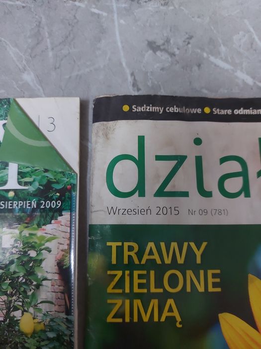 Projekty domów, ogrody