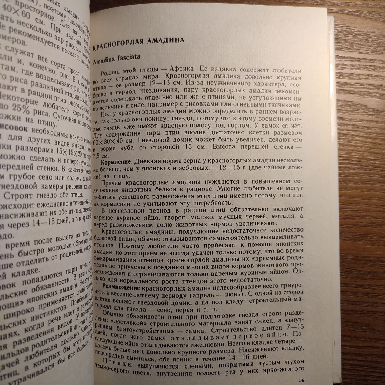"Птицы в доме" В. Б. Шнейдер, В. А. Гринев