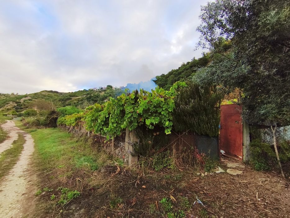 Quintinha às portas de Lisboa