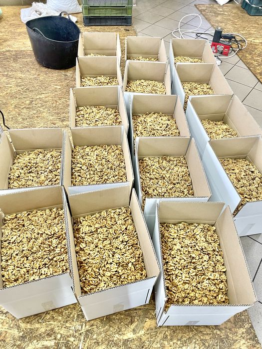 Грецький горіх очищений