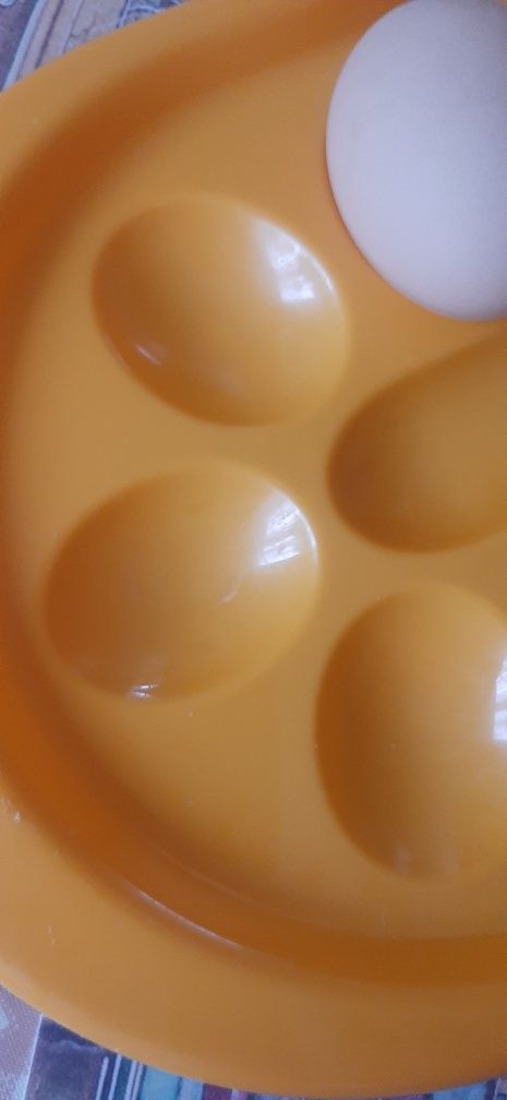Подставка для фаршированих вареных яиц