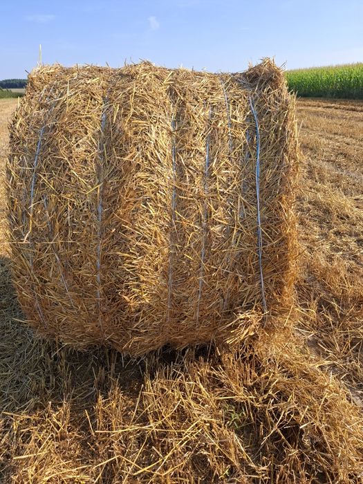 Prasa claas rollant 62