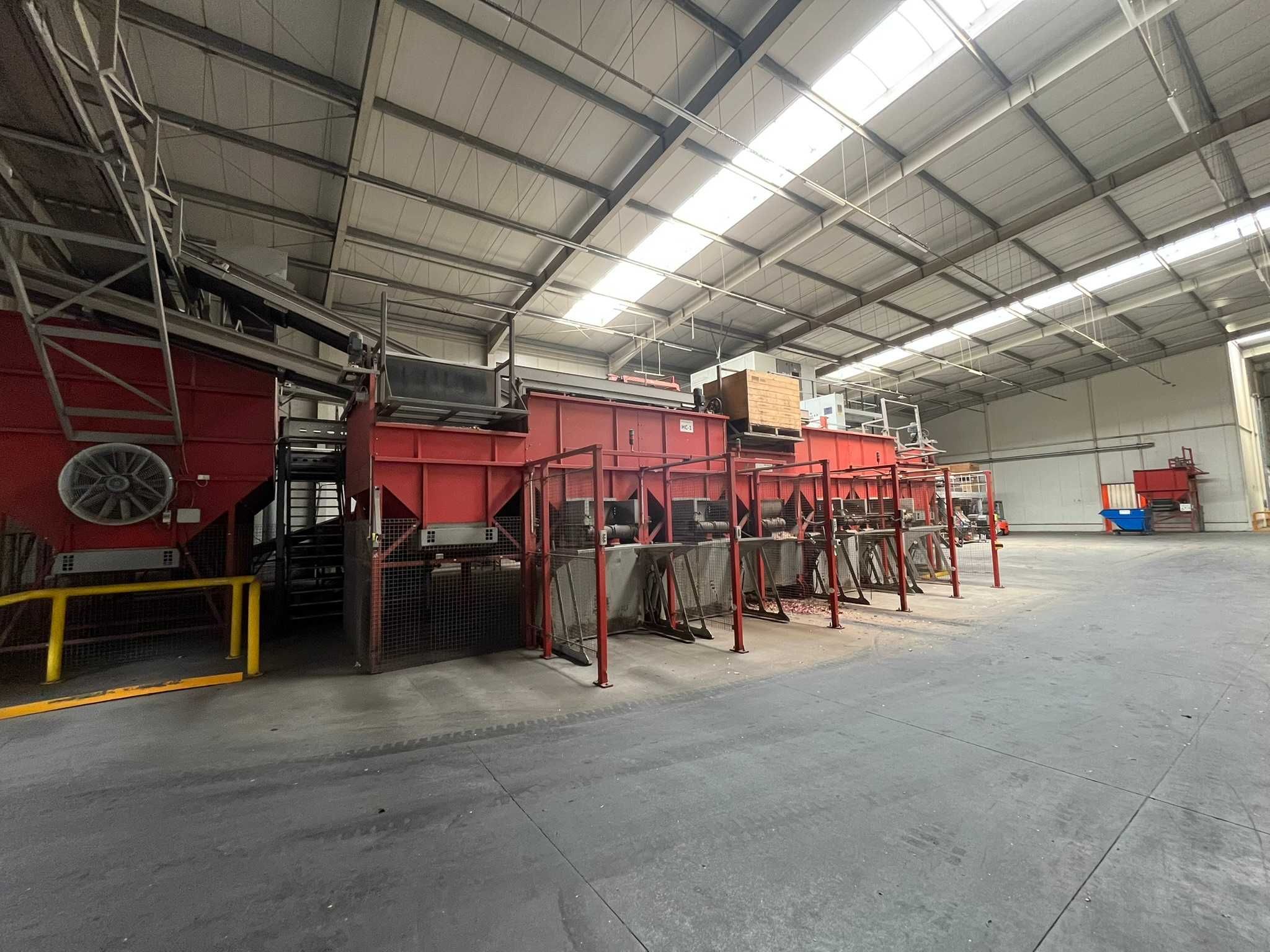Linia do sortowania i pakowania cebuli