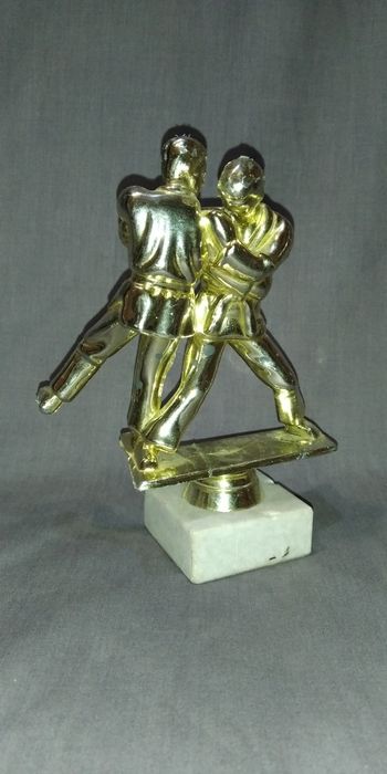 "Карате" спортивная награда