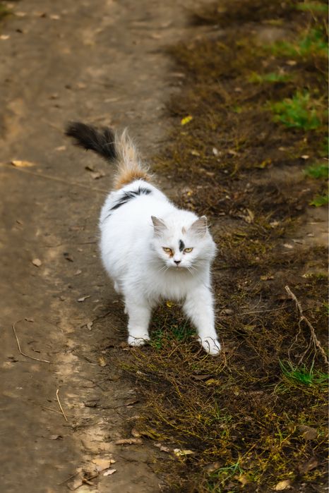 Фотограф Харьков 700грн/час. Sony Alpha A6400