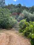 Terreno  para venda