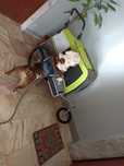Carro para cachorro grande
