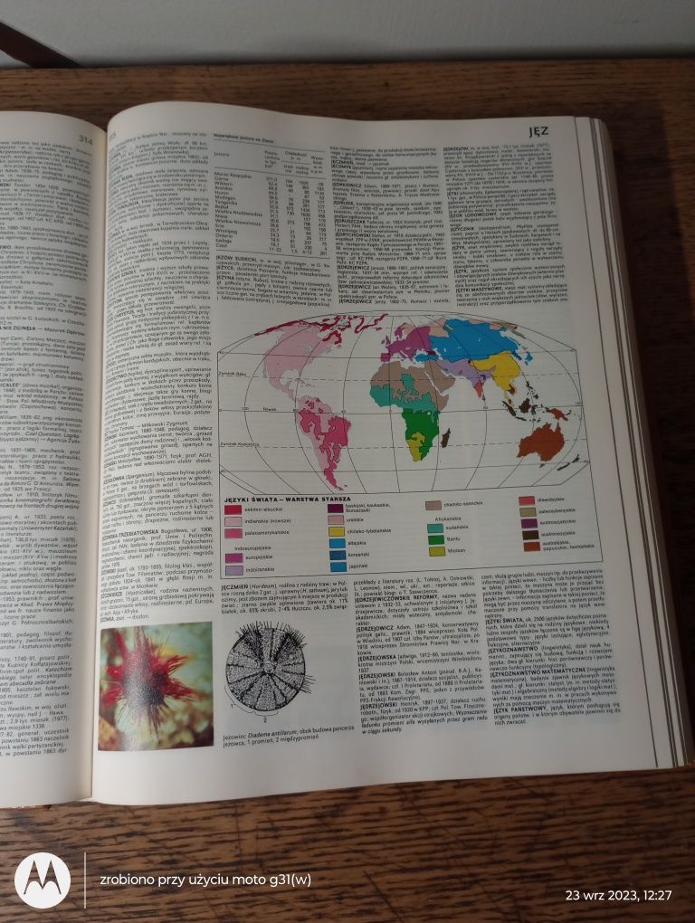 Encyklopedia Popularna PWN. Wydanie ósme.