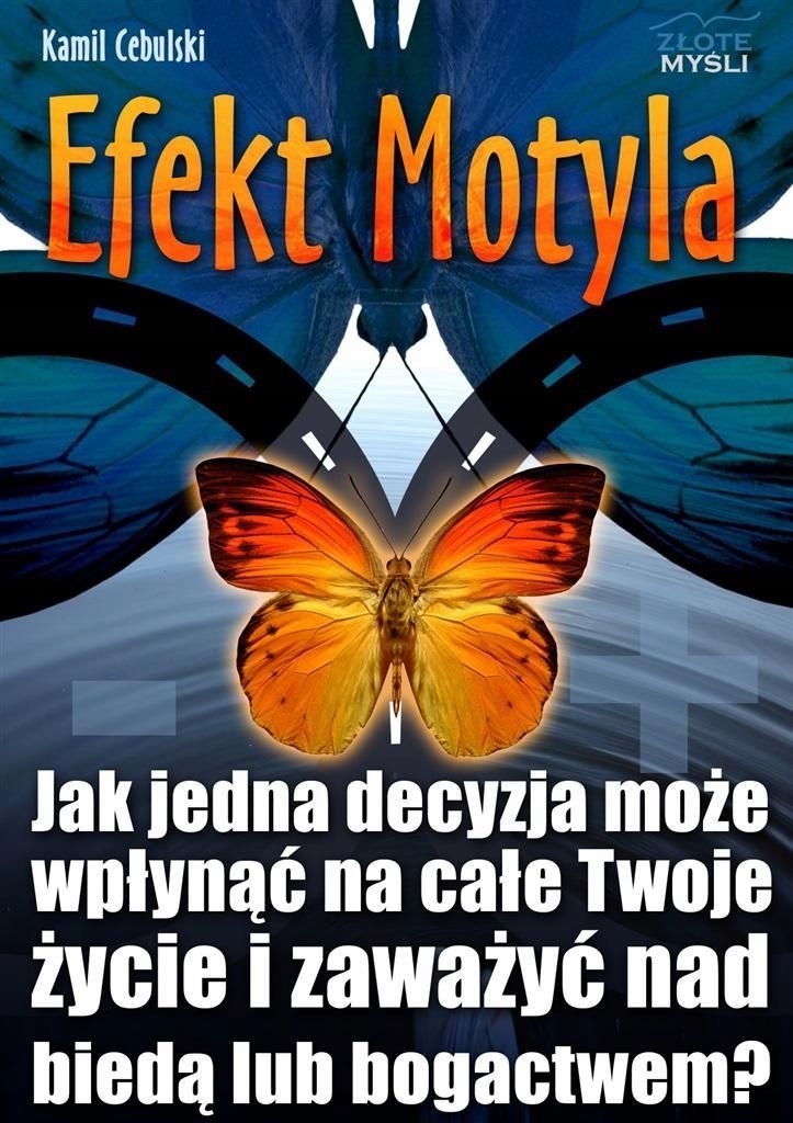 Efekt Motyla, Kamil Cebulski