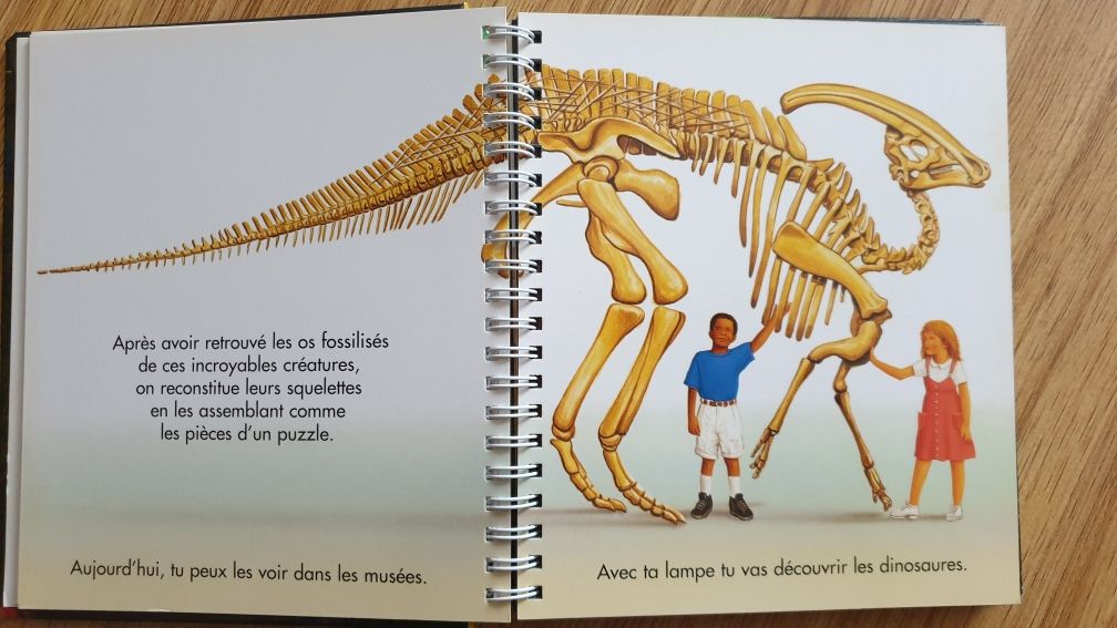 Дитяча книга на французькій мові про динозаврів