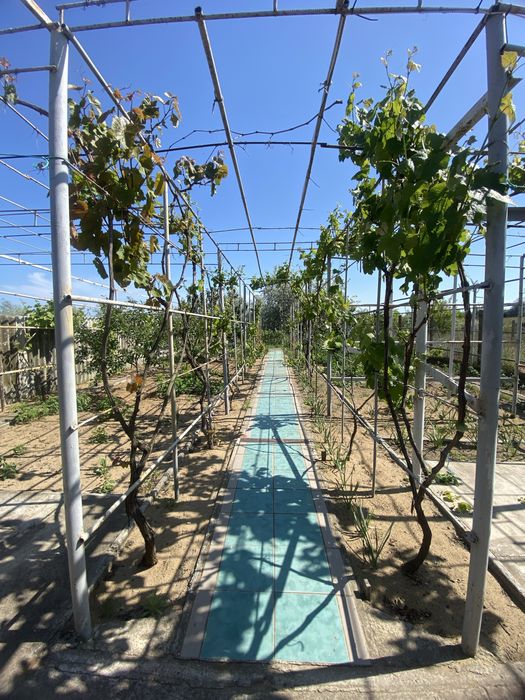 Продам Гараж/Дом