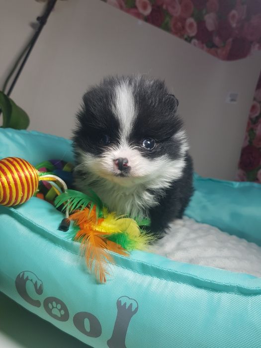 Супер мини малыш