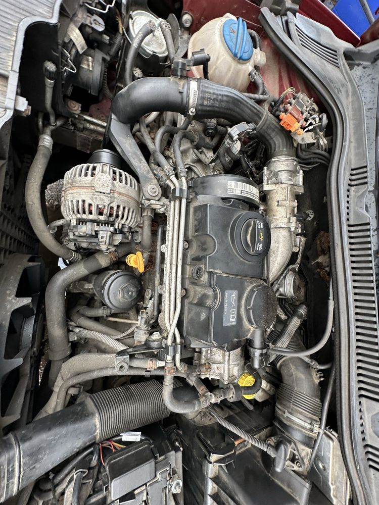 Seat Ibiza IV 1.4 TDI BMS na części Ibiza 6J 4 LS3X wszystkie części