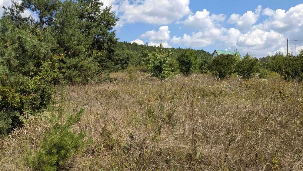 Продаж земельної ділянки на Дністрі Рудківці