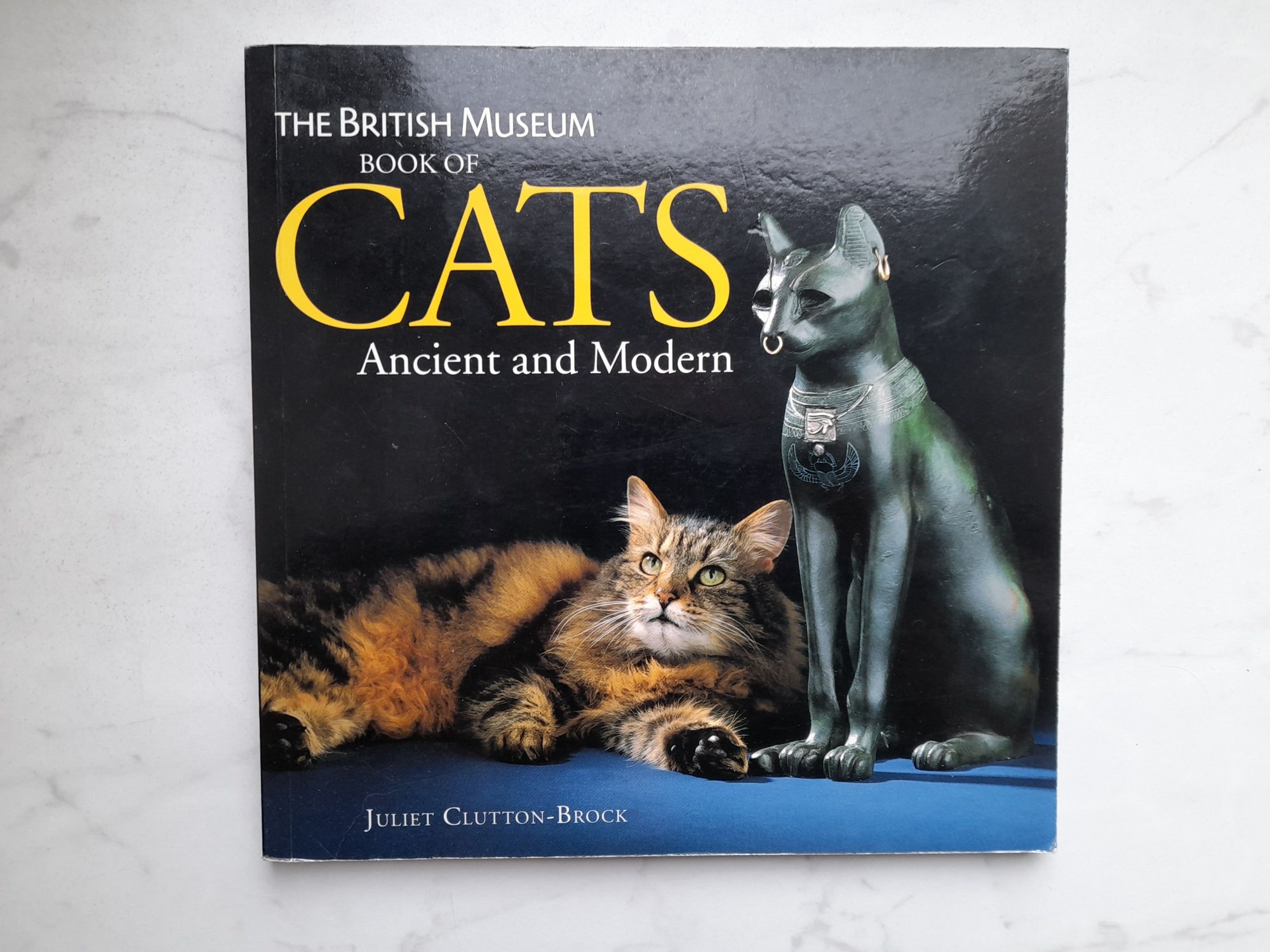 The British Museum Book of Cats