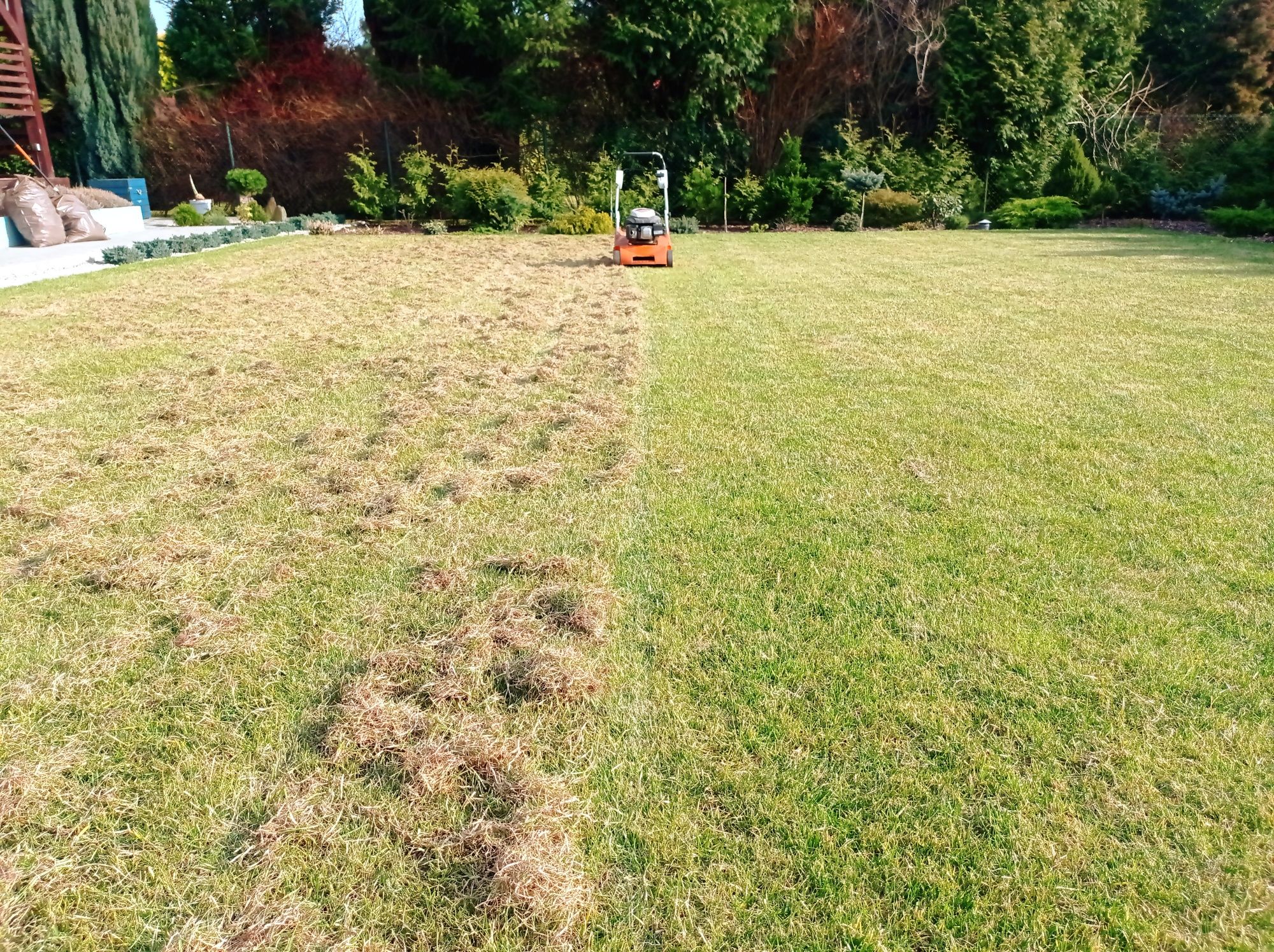 Wertykulacja trawnika| Regeneracja| usługi ogrodnicze