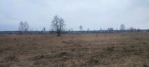Продаж ділянки 12 соток. Біля лісу. Поруч Київське водосховище. ID:360