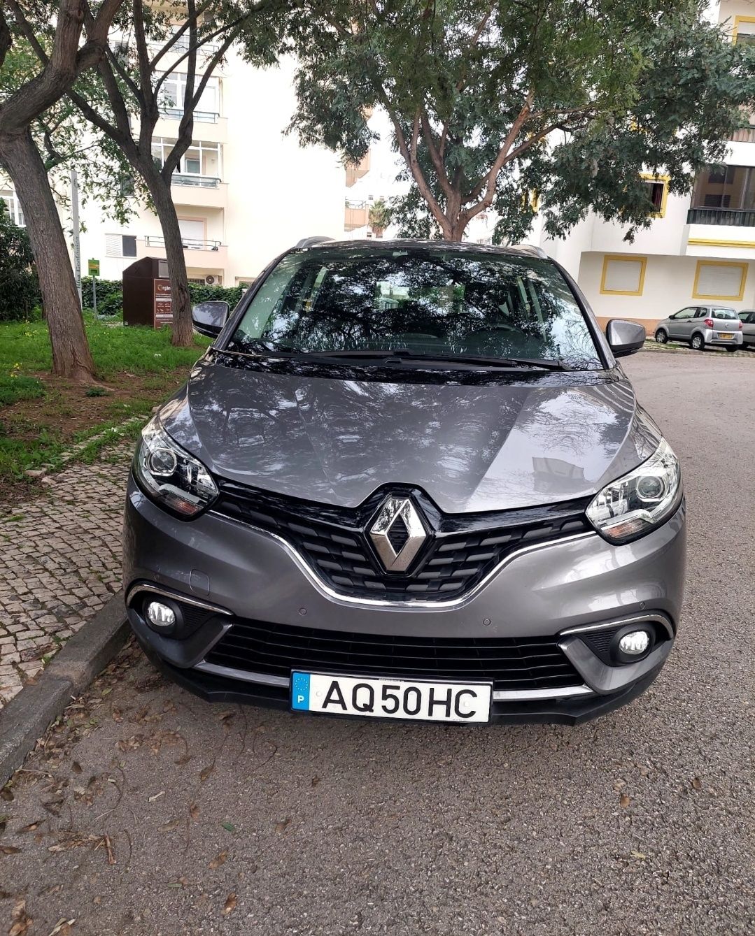 Renault GrandSenic DCI 110 Dynamique