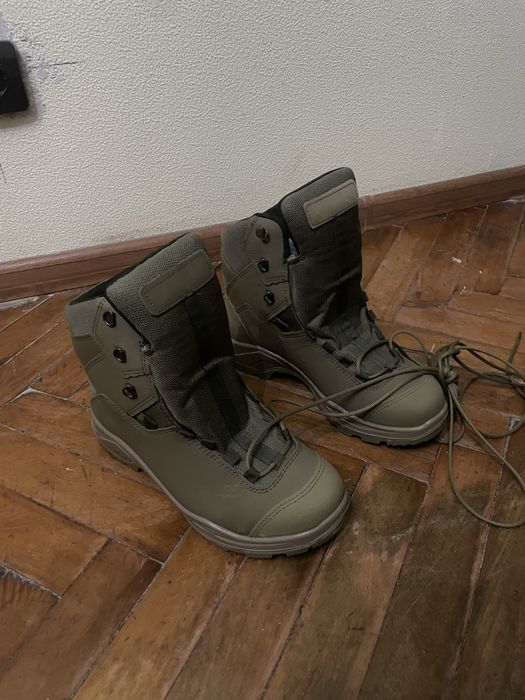 Берци талани 42 койот