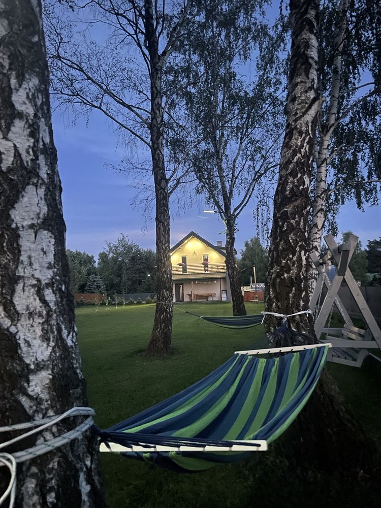 Kawalerskie/Panieńskie pod laskiem Okuninki Na Skraju Lasu