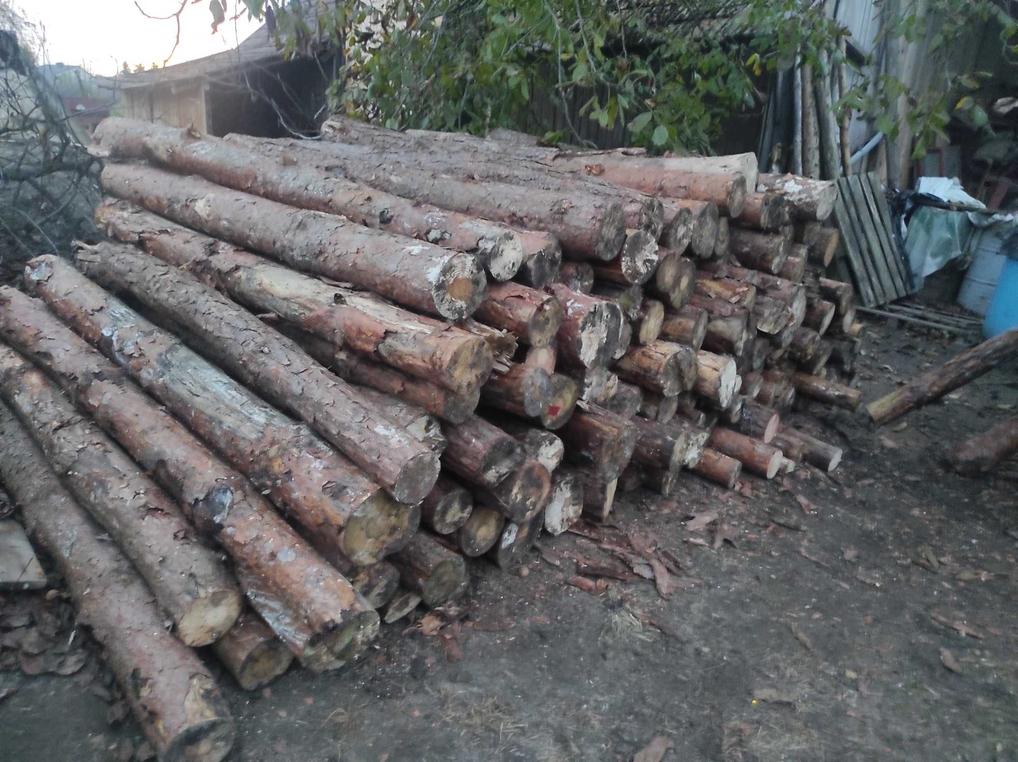 Drewno opałowe sosnowe -wałki 2m, 3m