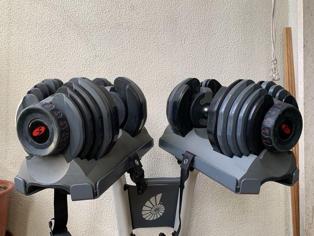 Halteres Ajustaveis BOWFLEX