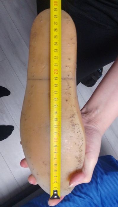 Колодки обувные.