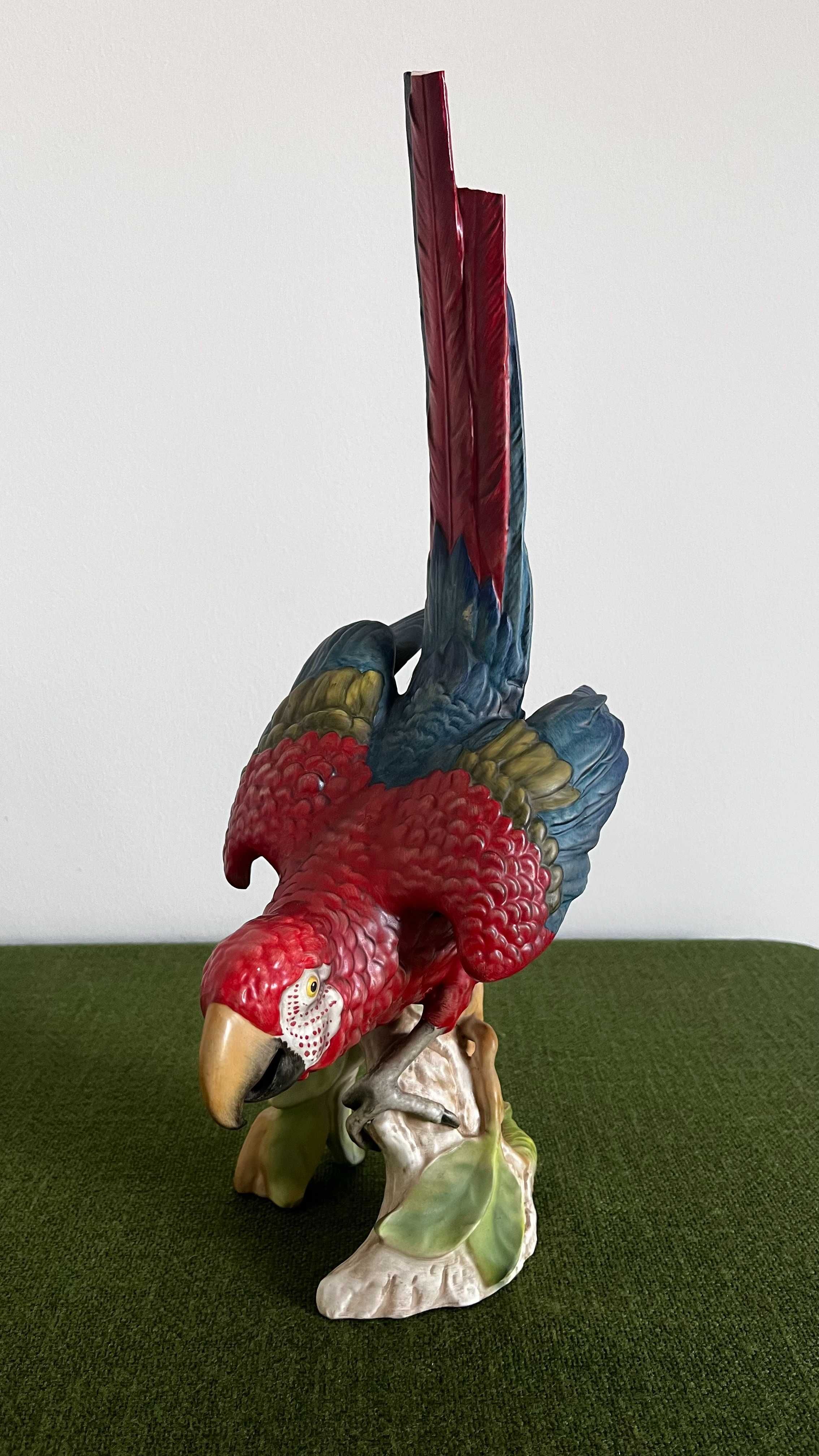 Papuga  sygnatura Goebel