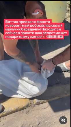 Вот так приехал с фронта невероятный добрый ласковый мальчик