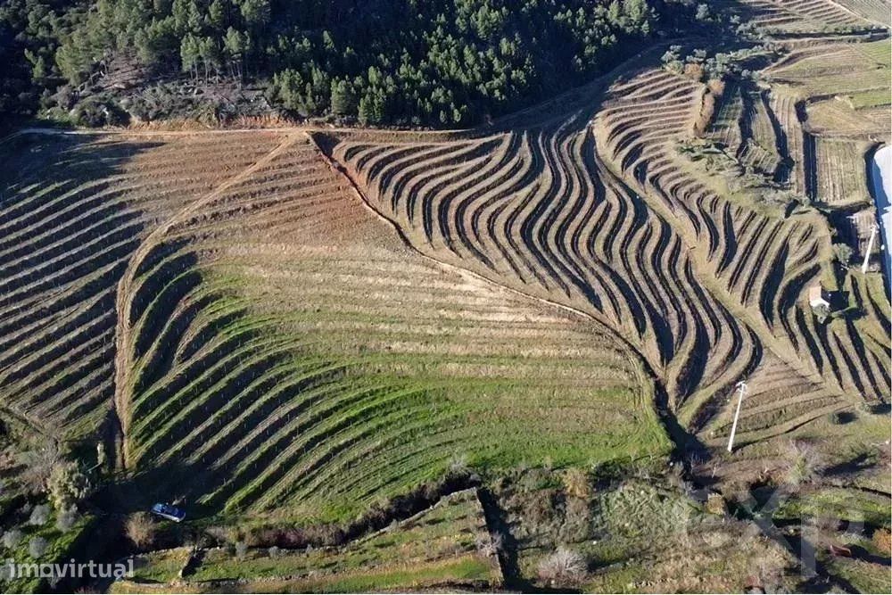 Propriedade Rústica em São Mamede de Ribatua