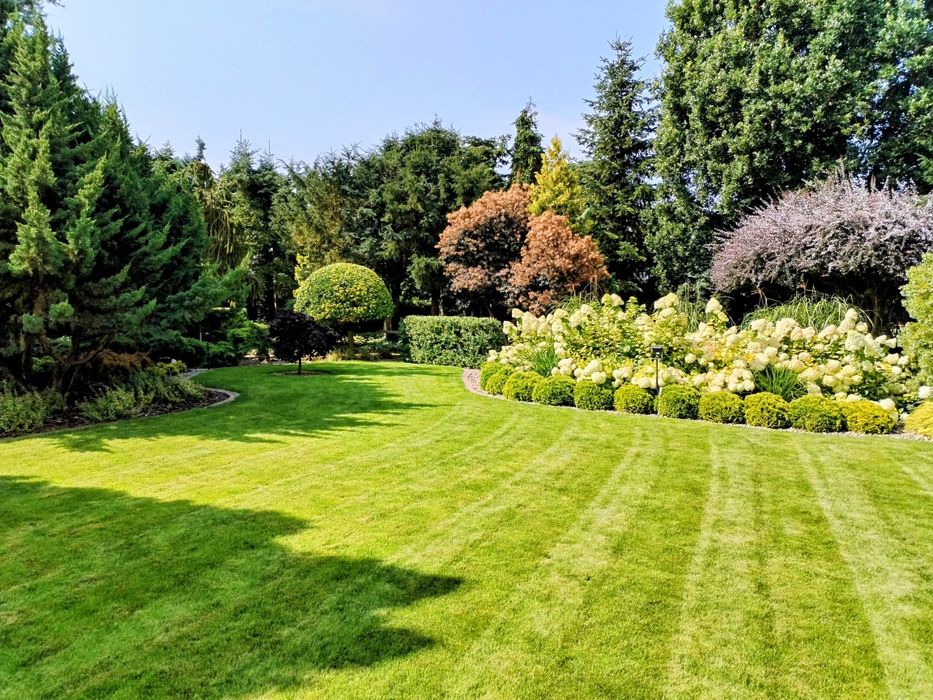 Usługi ogrodnicze, pielęgnacja ogrodów